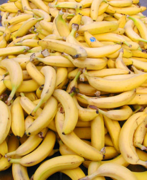300px-platano_de_canarias.jpg